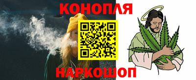 прущие крисы Кингисепп