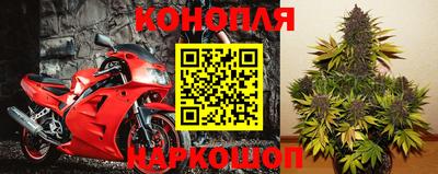 прущие крисы Кингисепп