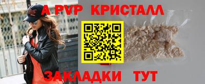 прущие крисы Кингисепп
