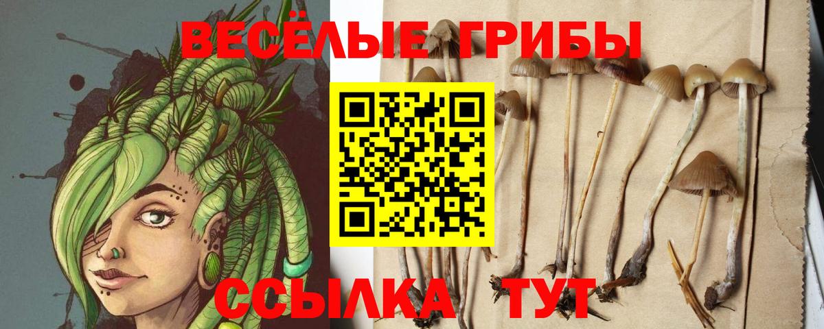 Псилоцибиновые грибы MAGIC MUSHROOMS  Вход с VPN  дарнет шоп  Усолье-Сибирское 